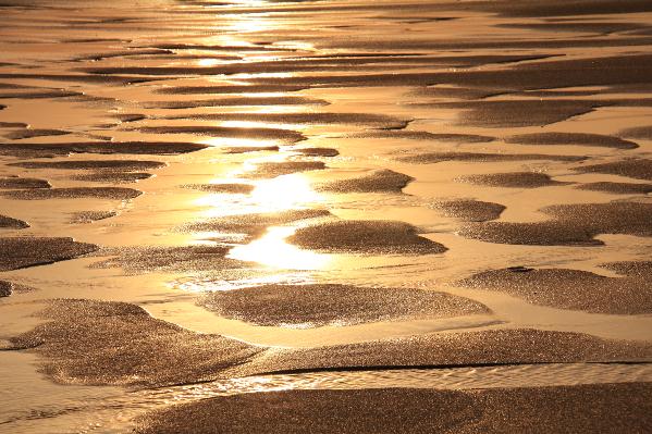 Golden Sands