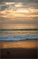 Malibu Beach 