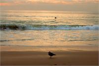 Malibu Beach 