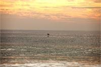 Malibu Beach 