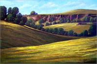Canyon Oaks 