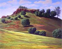 Flowering Meadow 