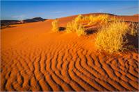 Sossusvlei At Sunset II