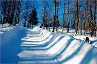 Toboggan Run