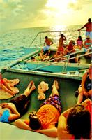 Ocean Free