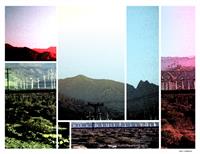 California Desert