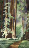 Mill Valley