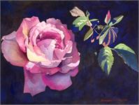 Sunlit Rose