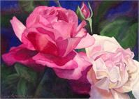 Victoria's Roses
