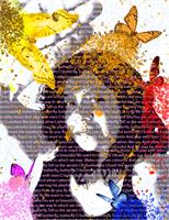Butterfly Poems