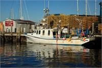 Fishing Boat And Docks In Newport Rhode Island