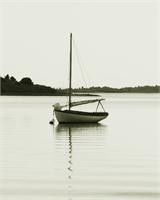 Resting Sloop In Menemsha Pond