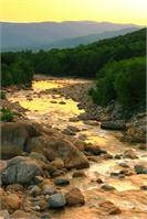 River Gold