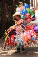 Toy Vender In San Jose Del Cabo Mexico