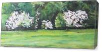 The Flowering Apple Trees