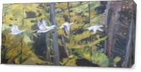 The Five Snow Geese